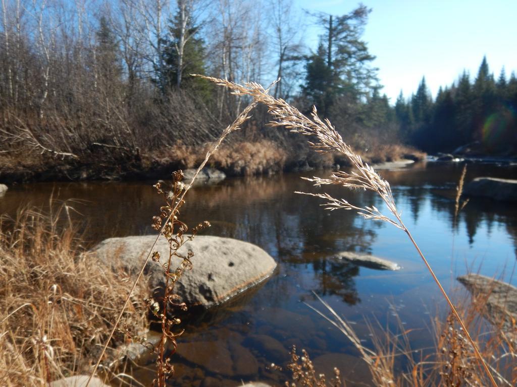 Aux Tipis De La Riviere Sauvage Villa Saint Romain Exterior photo